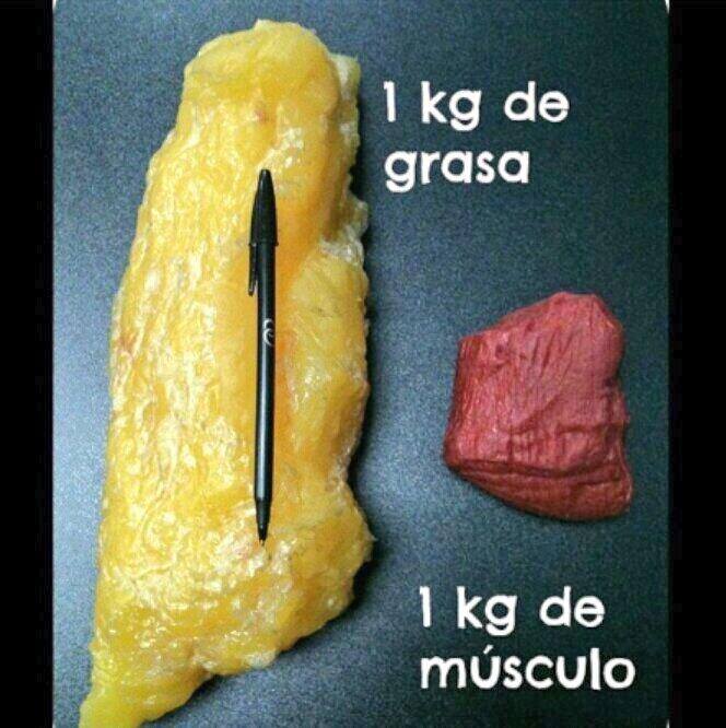 1 kg de grasa y 1 kg de músculo