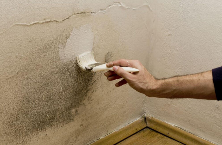 Quitar la humedad de las paredes