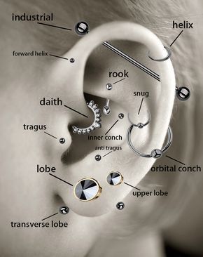Nombres de piercing en la oreja